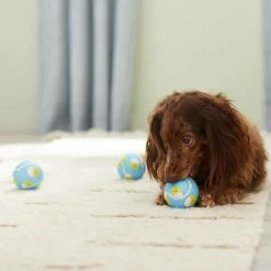 Frisco Easter Fetch Squeaky Tennis Ball Dog Toy, Medium, 3 Count -Frisco 304964 PT4. AC SS1800 V1703184745