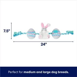 Frisco Easter Bunny & Egg Plush With Rope Dog Toy 8 Frisco Easter Bunny & Egg Plush With Rope Dog Toy -Frisco 304970 PT1. AC SS1800 V1700243716