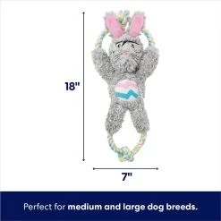 Frisco Easter Bunny Plush With Rope Squeaky Dog Toy 8 Frisco Easter Bunny Plush With Rope Squeaky Dog Toy -Frisco 304974 PT1. AC SS1800 V1700243716