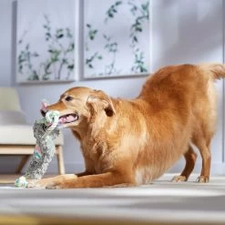 Frisco Easter Bunny Plush With Rope Squeaky Dog Toy 10 Frisco Easter Bunny Plush With Rope Squeaky Dog Toy -Frisco 304974 PT4. AC SS1800 V1702500566