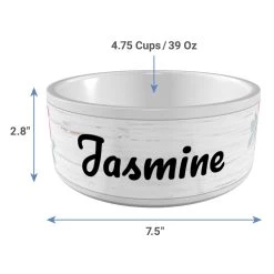 Frisco Personalized Rustic Ceramic Dog Bowl, 4.75-cup, 38oz -Frisco 306764 PT3. AC SS1800 V1636036401