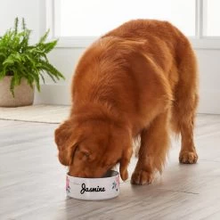 Frisco Personalized Rustic Ceramic Dog Bowl, 4.75-cup, 38oz -Frisco 306764 PT4. AC SS1800 V1639518092