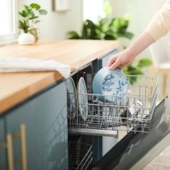 Frisco Coral Design Stainless Steel Dog & Cat Bowl -Frisco 311972 PT7. AC SS1800 V1642543254