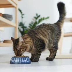 Frisco Leaf Design Stainless Steel Dog & Cat Bowl -Frisco 311980 PT3. AC SS1800 V1642542556