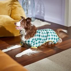Frisco Boho Gingham Dog & Cat PJs -Frisco 312272 PT8. AC SS1800 V1644880063