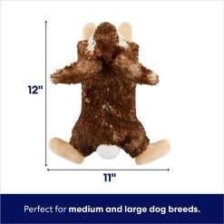 Frisco Realistic Rabbit Plush Squeaky Dog Toy -Frisco 316939 PT1. AC SS1800 V1695760927