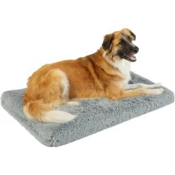 Frisco Eyelash Orthopedic Dog Crate Mat & Frisco Fold & Carry Single Door Collapsible Wire Dog Crate 12 Frisco Eyelash Orthopedic Dog Crate Mat & Frisco Fold & Carry Single Door Collapsible Wire Dog Crate -Frisco 319010 PT1. AC SS1800 V1631628085