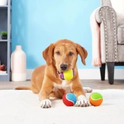 Frisco Fetch Squeaking Colorful Tennis Ball Dog Toy & Project Hive Pet Company Ball Dog Toy -Frisco 319024 PT3. AC SS1800 V1630550869