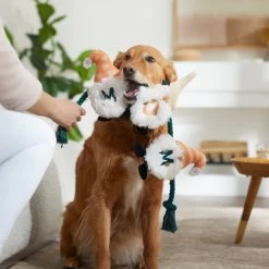 Frisco Mother's Day Gnomes Plush With Rope Squeaky Dog Toy -Frisco 327037 PT3. AC SS1800 V1646948102