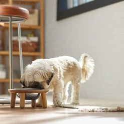 Frisco Premium Round Shape Elevated Single Dog & Cat Bowl 10 Frisco Premium Round Shape Elevated Single Dog & Cat Bowl -Frisco 331502 PT2. AC SS1800 V1657656893