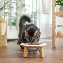 Frisco Premium Round Shape Elevated Single Dog & Cat Bowl 11 Frisco Premium Round Shape Elevated Single Dog & Cat Bowl -Frisco 331502 PT3. AC SS1800 V1657656892