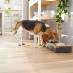 Frisco Premium Stainless Steel Double Diner Dog & Cat Bowl, Black -Frisco 331532 PT2. AC SS1800 V1657656874