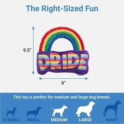 Frisco Pride Rainbow Plush With Rope Squeaky Dog Toy -Frisco 331653 PT1. AC SS1800 V1649784989
