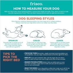 Frisco Lemon Adjustable Cat & Dog Bolster Bed -Frisco 333852 PT3. AC SS1800 V1658717222