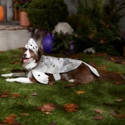 Frisco Seal Dog & Cat Costume -Frisco 334983 PT7. AC SS1800 V1657730462