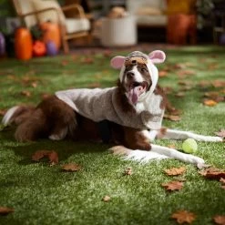 Frisco Hedgehog Dog & Cat Costume -Frisco 334990 PT7. AC SS1800 V1657732628