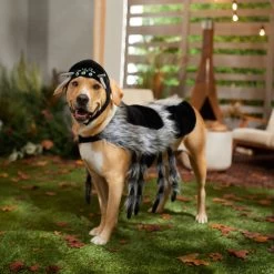 Frisco Spider Dog & Cat Costume -Frisco 335017 PT7. AC SS1800 V1657834853