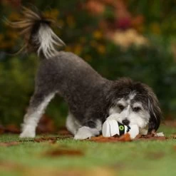 Frisco Halloween Mummy Latex Squeaky Dog Toy -Frisco 344140 PT3. AC SS1800 V1657657042