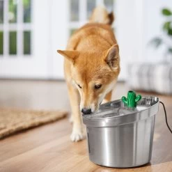 Frisco Stainless Steel Cactus & Leaf Dog & Cat Fountain 14 Frisco Stainless Steel Cactus & Leaf Dog & Cat Fountain -Frisco 355814 PT5. AC SS1800 V1665683869