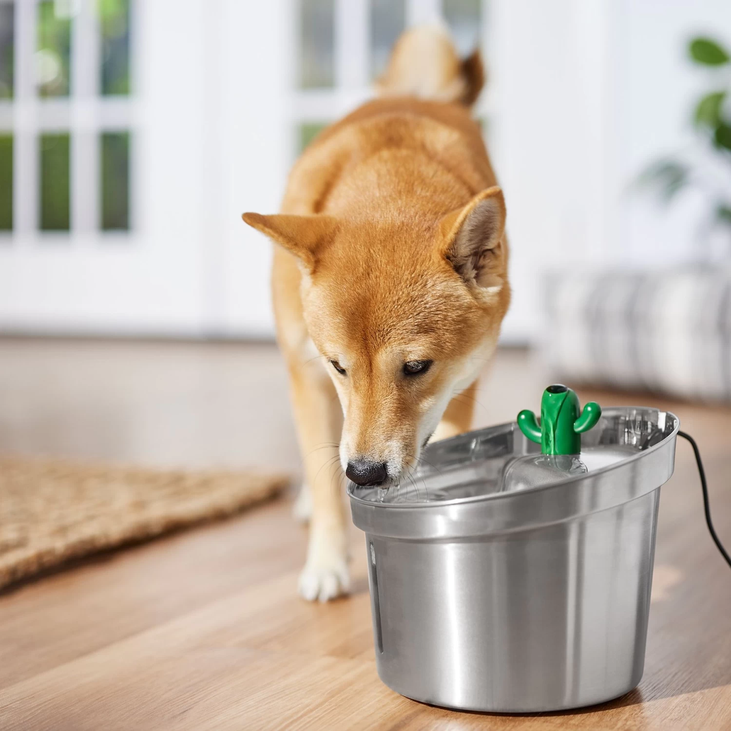 Frisco Stainless Steel Cactus & Leaf Dog & Cat Fountain 8 Frisco Stainless Steel Cactus & Leaf Dog & Cat Fountain - Image 6