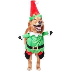 Frisco Front Walking Elf Dog & Cat Costume 14 Frisco Front Walking Elf Dog & Cat Costume -Frisco 357956 PT3. AC SS1800 V1660760416