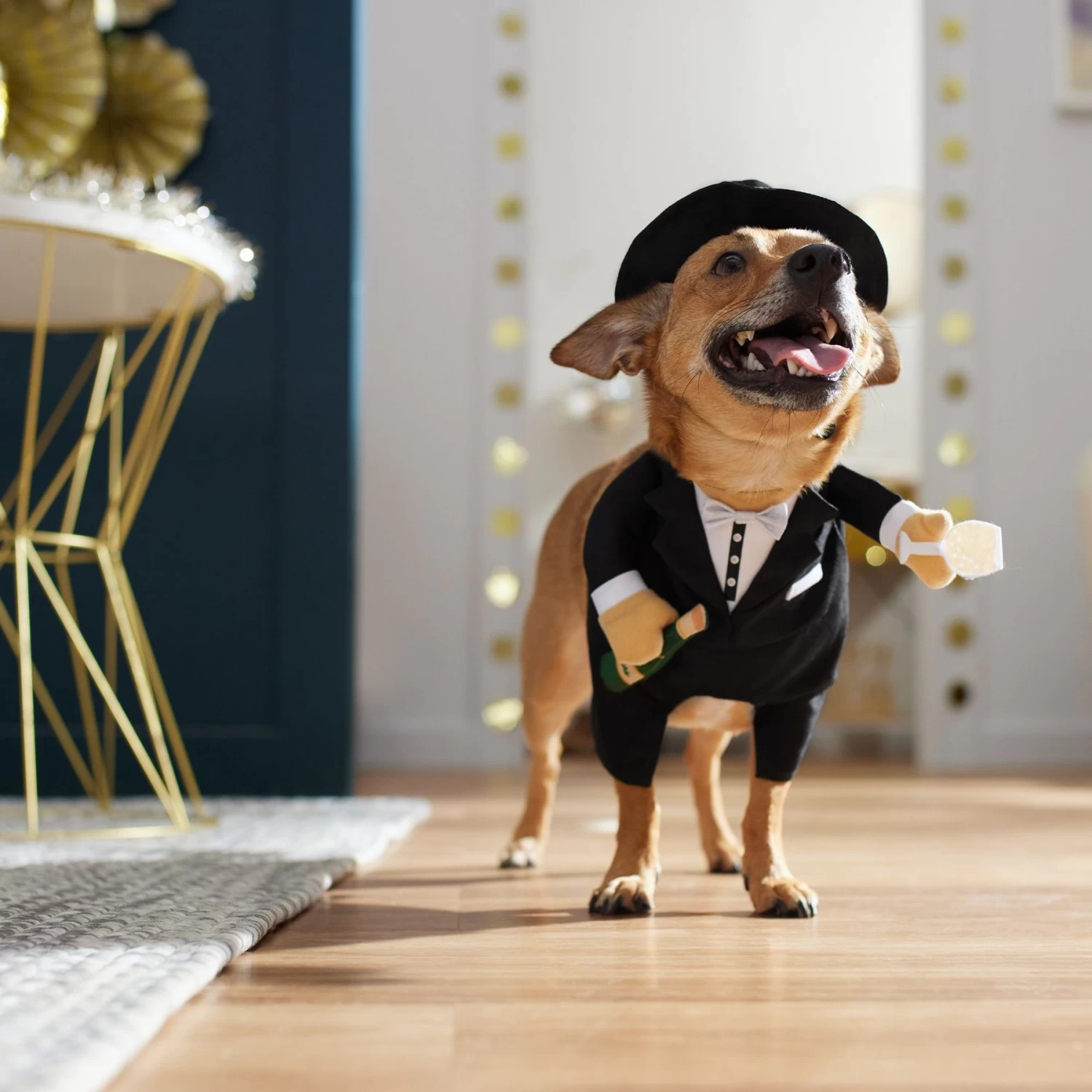 Frisco Front Walking New Years Tuxedo Dog & Cat Costume 10 Frisco Front Walking New Years Tuxedo Dog & Cat Costume - Image 8