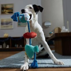 Frisco Hanukkah Celebration Plush With Rope Squeaky Dog Toy 9 Frisco Hanukkah Celebration Plush With Rope Squeaky Dog Toy -Frisco 360986 PT3. AC SS1800 V1661874063