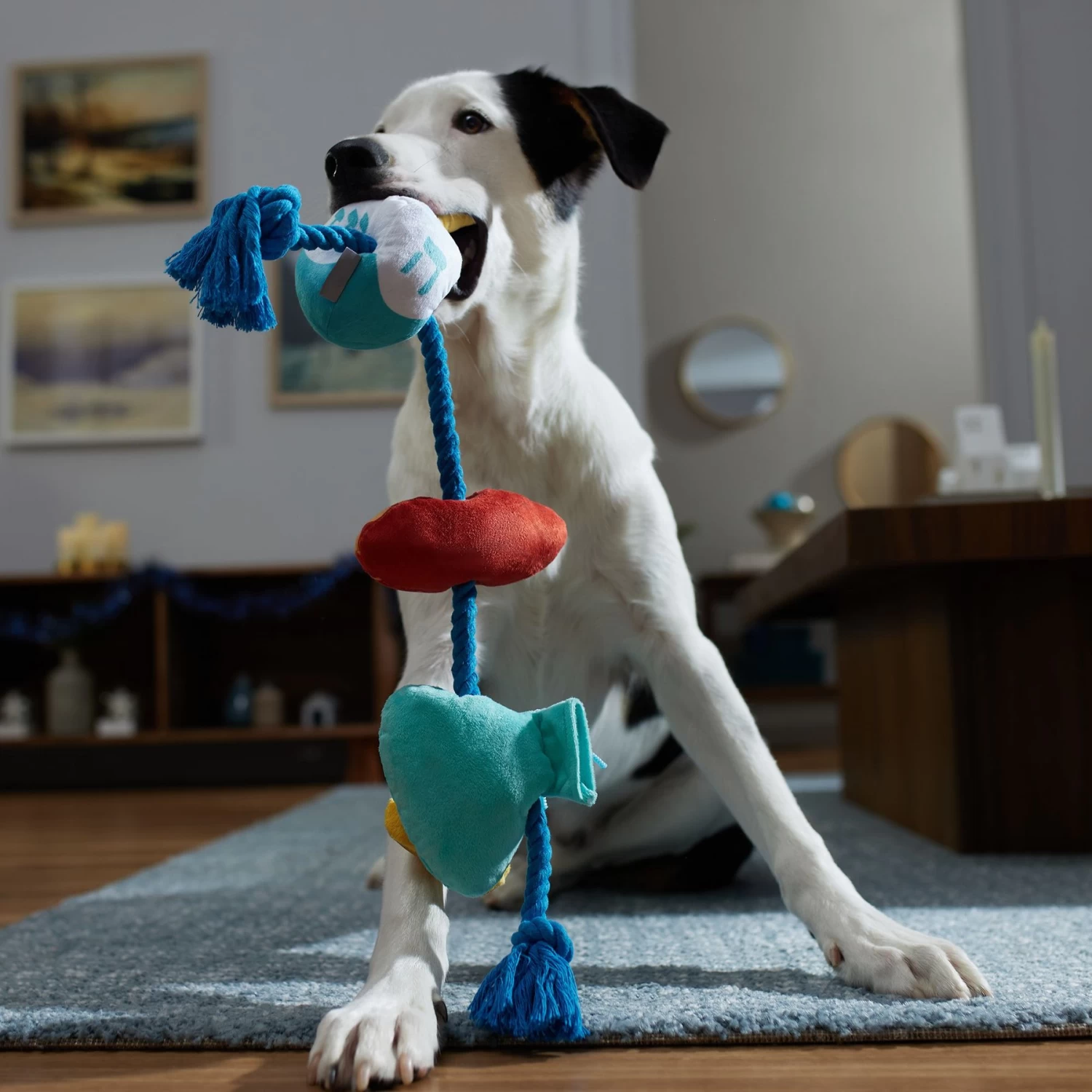 Frisco Hanukkah Celebration Plush With Rope Squeaky Dog Toy 5 Frisco Hanukkah Celebration Plush With Rope Squeaky Dog Toy - Image 3