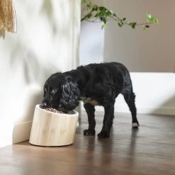 Frisco Elevated Slanted Bamboo Melamine Non-Skid Dog Bowl With Bamboo Stand -Frisco 363387 PT2. AC SS1800 V1657657267