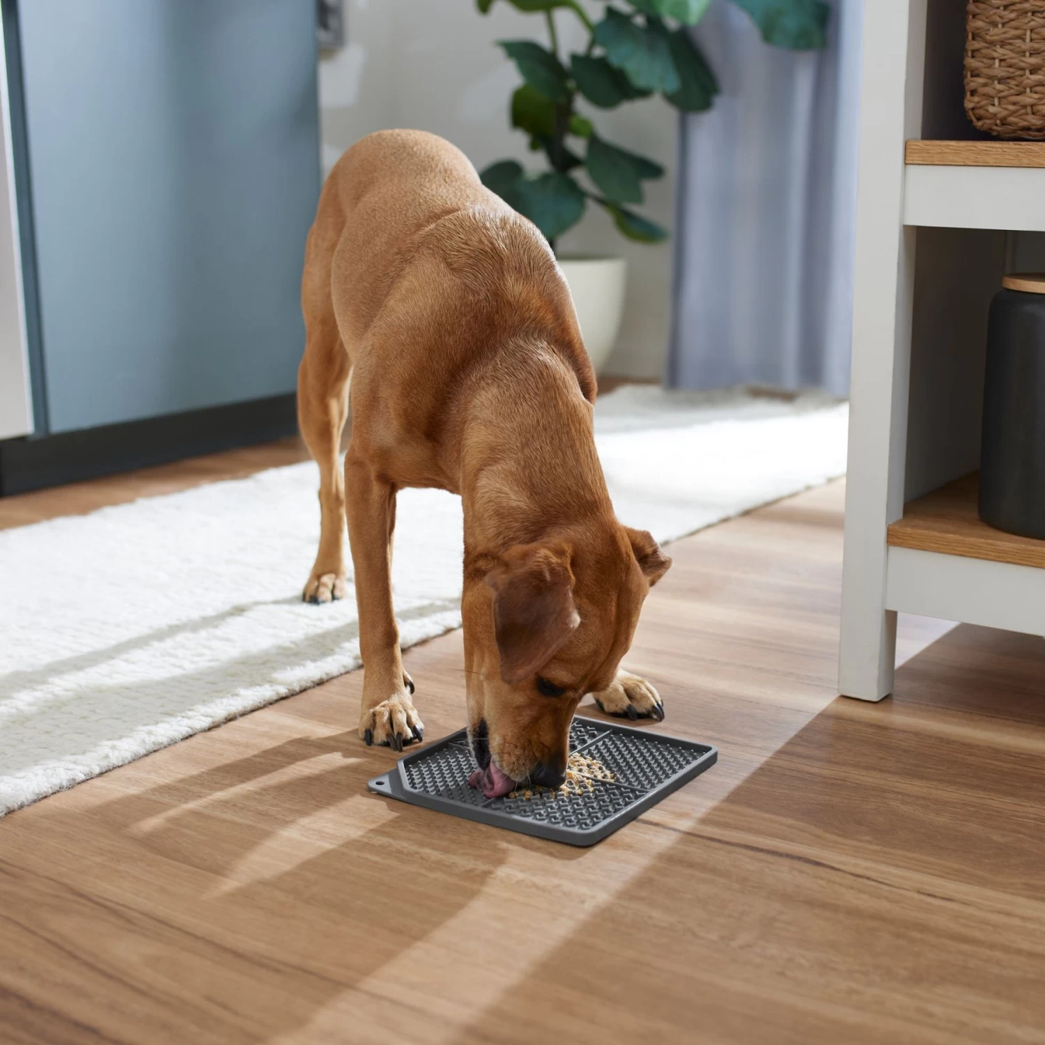 Frisco Non-skid Square Silicone Dog & Cat Lick Mat 5 Frisco Non-skid Square Silicone Dog & Cat Lick Mat - Image 3