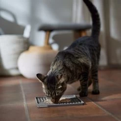 Frisco Non-skid Square Silicone Dog & Cat Lick Mat 11 Frisco Non-skid Square Silicone Dog & Cat Lick Mat -Frisco 363402 PT3. AC SS1800 V1665170734