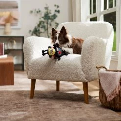 Frisco Valentine Jammin' Ladybug Plush Squeaky Dog Toy -Frisco 371083 PT3. AC SS1800 V1668737455