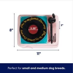 Frisco Valentine Love Song Record Player Hide & Seek Puzzle Plush Squeaky Dog Toy -Frisco 371087 PT1. AC SS1800 V1701364922