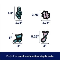 Frisco Valentine Love Song Record Player Hide & Seek Puzzle Plush Squeaky Dog Toy -Frisco 371087 PT2. AC SS1800 V1701364927