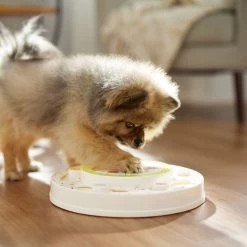 Frisco Tiered Cake Interactive Puzzle Dog Toy, Easy -Frisco 506346 PT5. AC SS1800 V1674666566