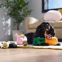 Frisco Spring Plush & Rope Variety Pack Squeaky Dog Toy 10 Frisco Spring Plush & Rope Variety Pack Squeaky Dog Toy -Frisco 541526 PT4. AC SS1800 V1702500565