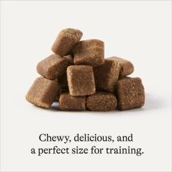 Frisco Giant Charcoal Dog Training & Potty Pads & American Journey Beef Recipe Grain-Free Soft & Chewy Training Bits Dog Treats -Frisco 678566 PT7. AC SS1800 V1681825758