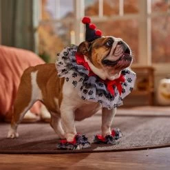 Frisco Clown Dog & Cat Costume Accessory 14 Frisco Clown Dog & Cat Costume Accessory -Frisco 706526 PT7. AC SS1800 V1689282556