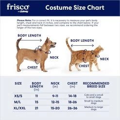 Frisco My Little Devil Dog & Cat Costume Accessory 11 Frisco My Little Devil Dog & Cat Costume Accessory -Frisco 706622 PT1. AC SS1800 V1689355328