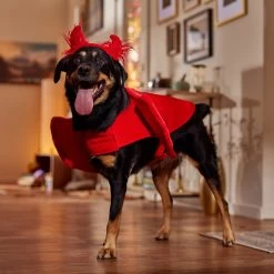 Frisco My Little Devil Dog & Cat Costume Accessory 16 Frisco My Little Devil Dog & Cat Costume Accessory -Frisco 706622 PT7. AC SS1800 V1689342200
