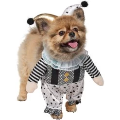 Frisco Front Walking Glitter Clown Dog & Cat Costume -Frisco 707542 PT3. AC SS1800 V1689278296