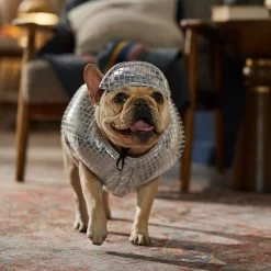 Frisco Disco Ball Dog & Cat Costume -Frisco 707934 PT7. AC SS1800 V1689271312