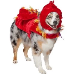 Frisco Flying Phoenix Dog & Cat Costume -Frisco 708150 PT3. AC SS1800 V1691084928