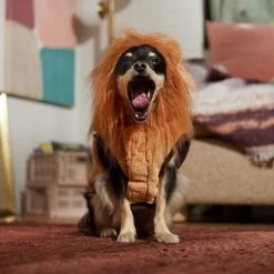 Frisco Lion Love Dog & Cat Costume 18 Frisco Lion Love Dog & Cat Costume -Frisco 708318 PT7. AC SS1800 V1689350649