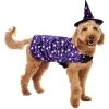 Frisco Cosmic Witch Dog & Cat Costume 2 Frisco Cosmic Witch Dog & Cat Costume -Frisco 708982 MAIN. AC SS1800 V1689282565