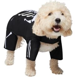 Frisco Glow In The Dark Skeleton Dog & Cat Costume