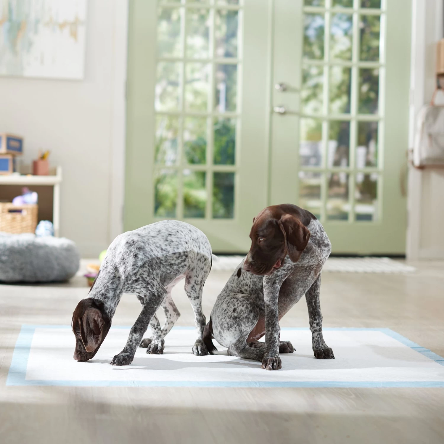 Frisco Mega Non-Skid Ultra Premium Dog Training & Potty Pads 8 Frisco Mega Non-Skid Ultra Premium Dog Training & Potty Pads - Image 6