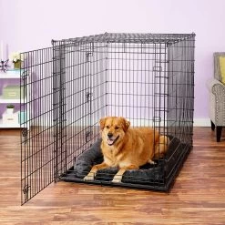 Frisco Heavy Duty Enhanced Lock Double Door Fold & Carry Wire Dog Crate & Mat Kit & MidWest Quiet Time Fleece Dog Crate Mat 19 Frisco Heavy Duty Enhanced Lock Double Door Fold & Carry Wire Dog Crate & Mat Kit & MidWest Quiet Time Fleece Dog Crate Mat -Frisco 947398 PT8. AC SS1800 V1693920163