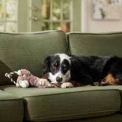 Frisco Monkey Plush With Rope Squeaky Dog Toy & Frisco Cow Plush With Inside Rope Squeaky Dog Toy 15 Frisco Monkey Plush With Rope Squeaky Dog Toy & Frisco Cow Plush With Inside Rope Squeaky Dog Toy -Frisco 961998 PT4. AC SS1800 V1694784009