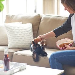 Frisco Corndog Interactive Plush Squeaky Dog Toy & Frisco Guacamole Hide & Seek Puzzle Plush Squeaky Dog Toy -Frisco 962086 PT3. AC SS1800 V1694782979